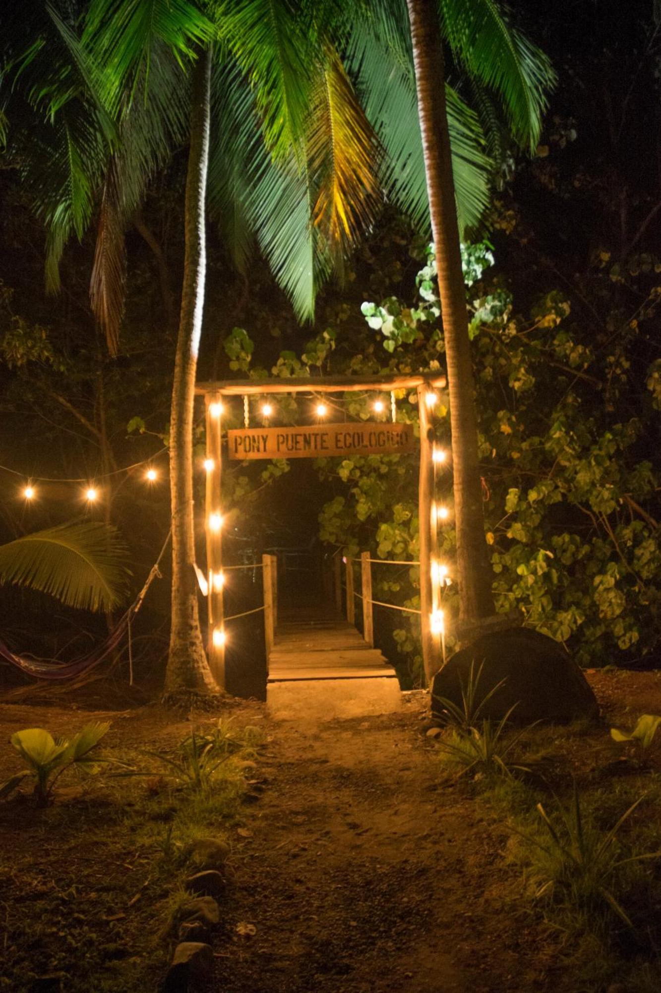 Show Pony Beach Resort And Suites Las Lajas  Bagian luar foto