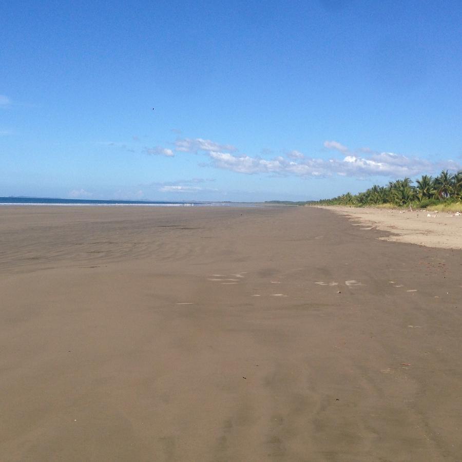 Show Pony Beach Resort And Suites Las Lajas  Bagian luar foto