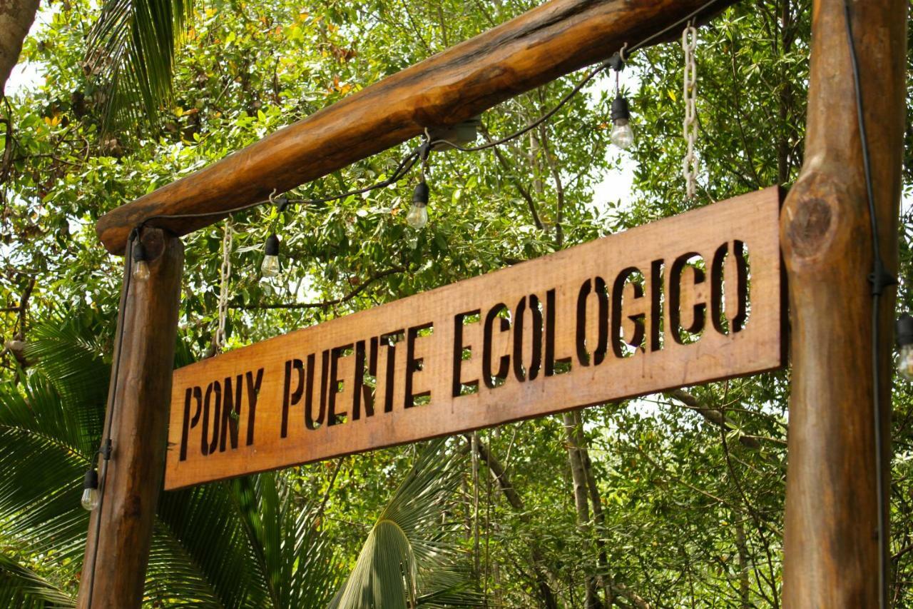 Show Pony Beach Resort And Suites Las Lajas  Bagian luar foto